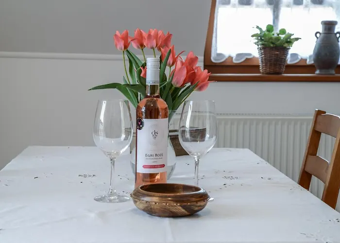 Krisztina Vendeghaz בית הארחה אגר